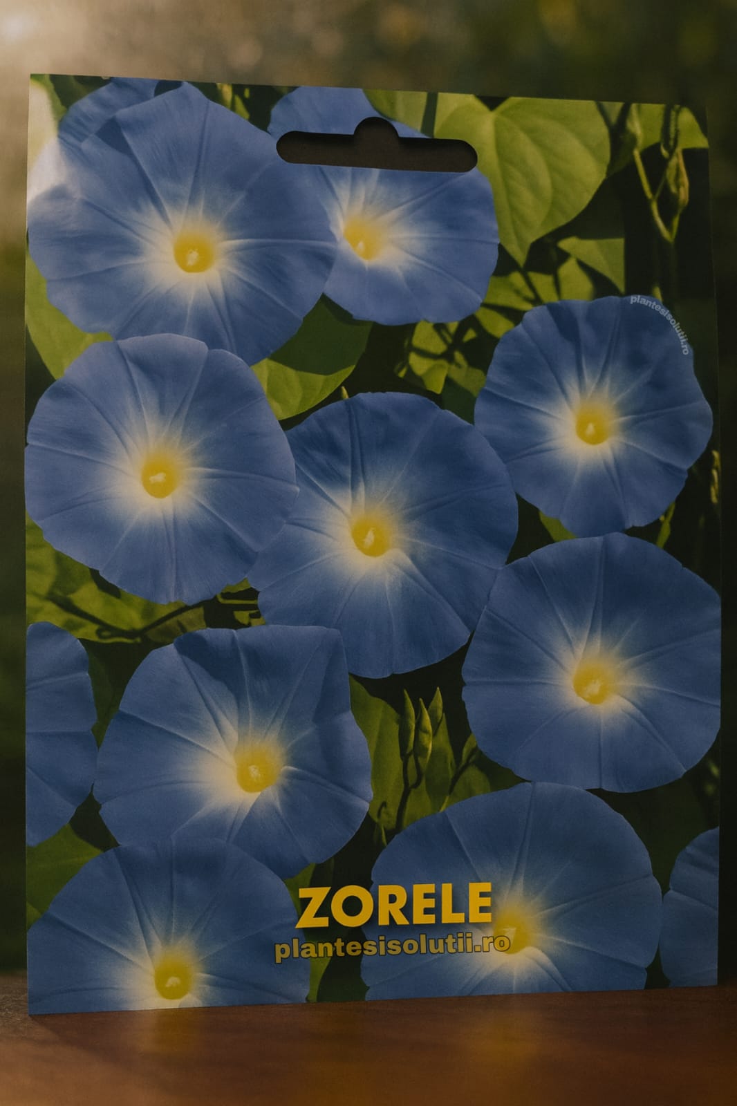 Zorele