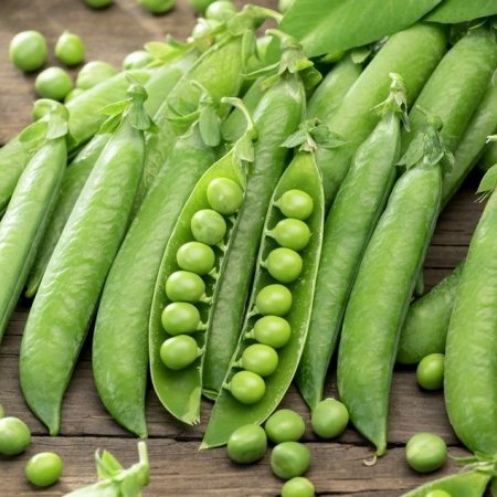 edfa2066f6d5cac85382534634c1483f_large