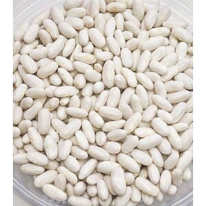 Seminte de fasole pentru boabe Cannellino