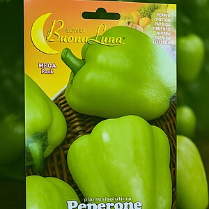 Seminte Ardei Peperone P14 - 1.5gr