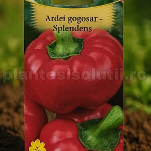 Ardei gogoşar - Splendens 0,3g
