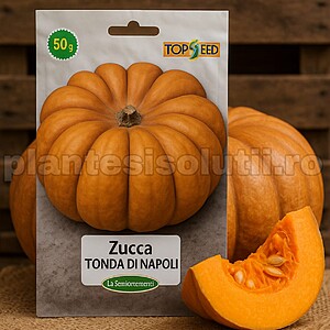 Seminte de dovleac Tonda Di Napoli, 50 grame, Semiorto