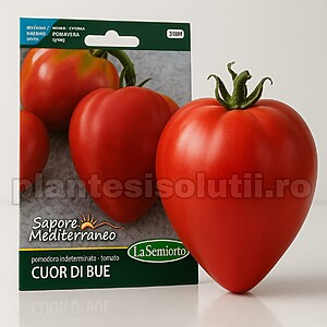 Seminte de tomate Cuor di Bue (Inima de bou), 2 grame