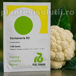 Seminte de conopida Santamaria F1, Rijk Zwaan, 1000 seminte