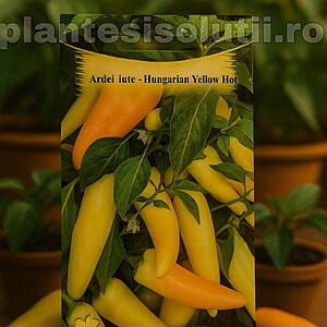 Ardei iute - Hungarian Yellow Wax, 0,3g