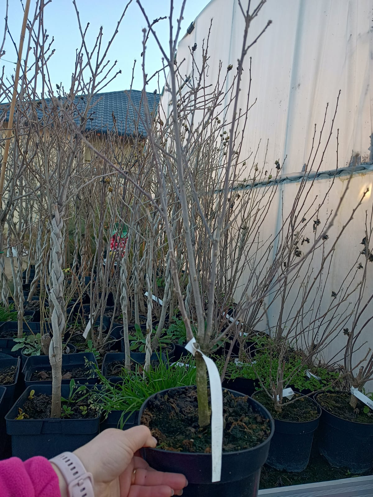 WhatsApp Image 2025-12-13 at 08.37.32_34f750bd