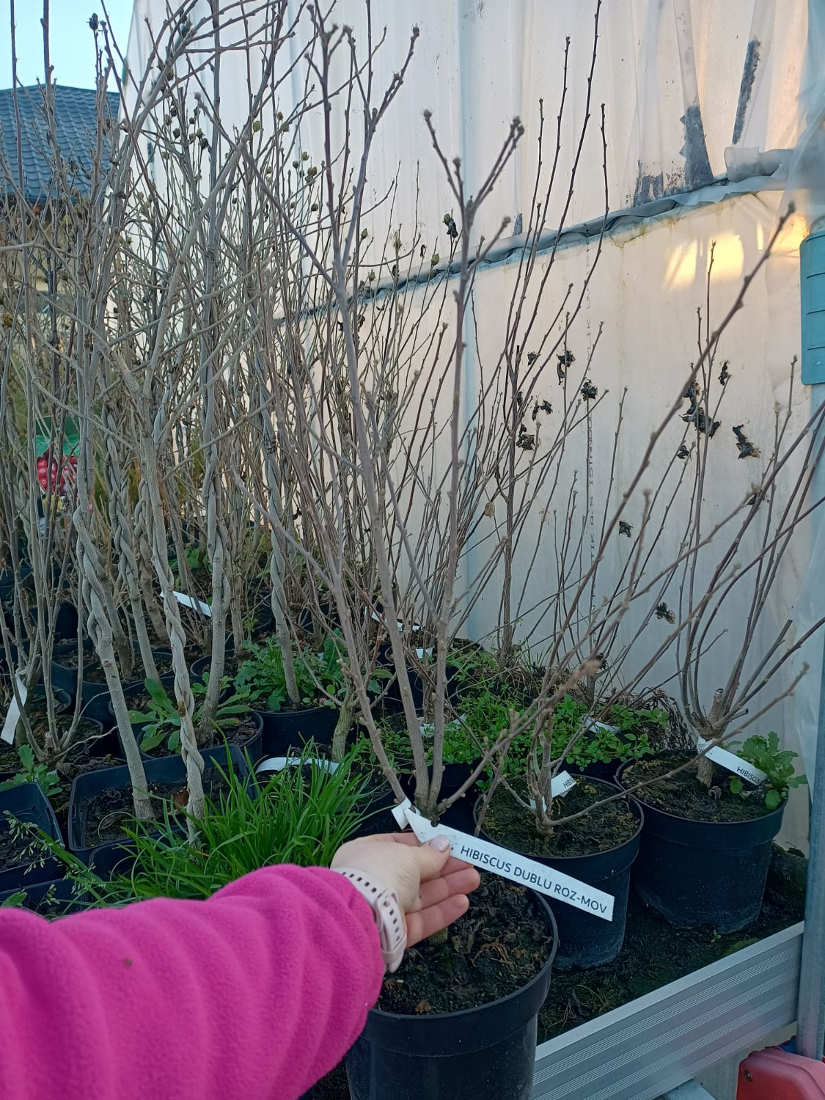 WhatsApp Image 2025-12-13 at 08.37.48_72696830