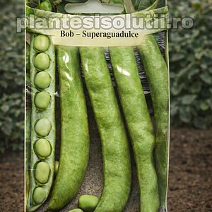 Bob - Superaguadulce, 18g