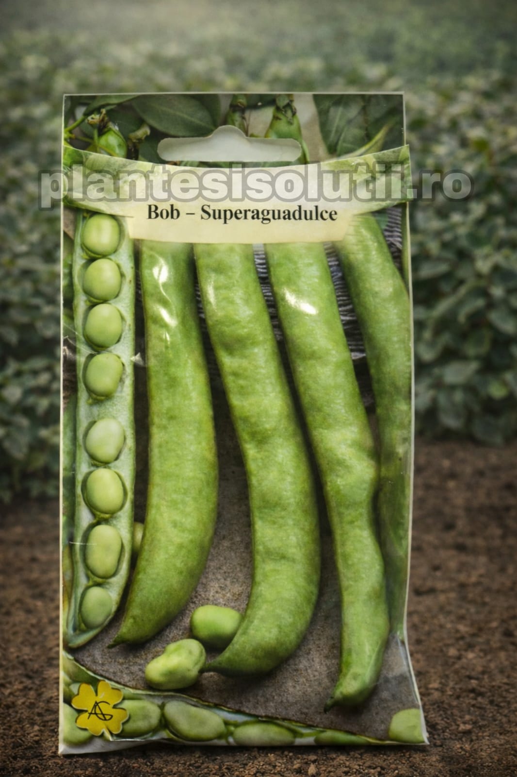 WhatsApp Image 2025-12-17 at 22.55.10