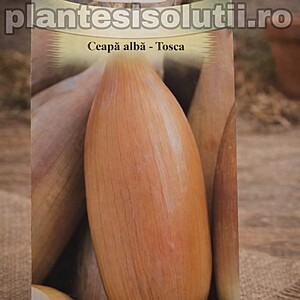 Ceapă albă-Tosca 0.7 gr