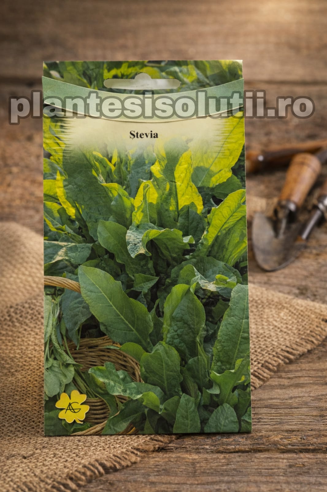 WhatsApp Image 2025-12-17 at 22.55.11 (16)