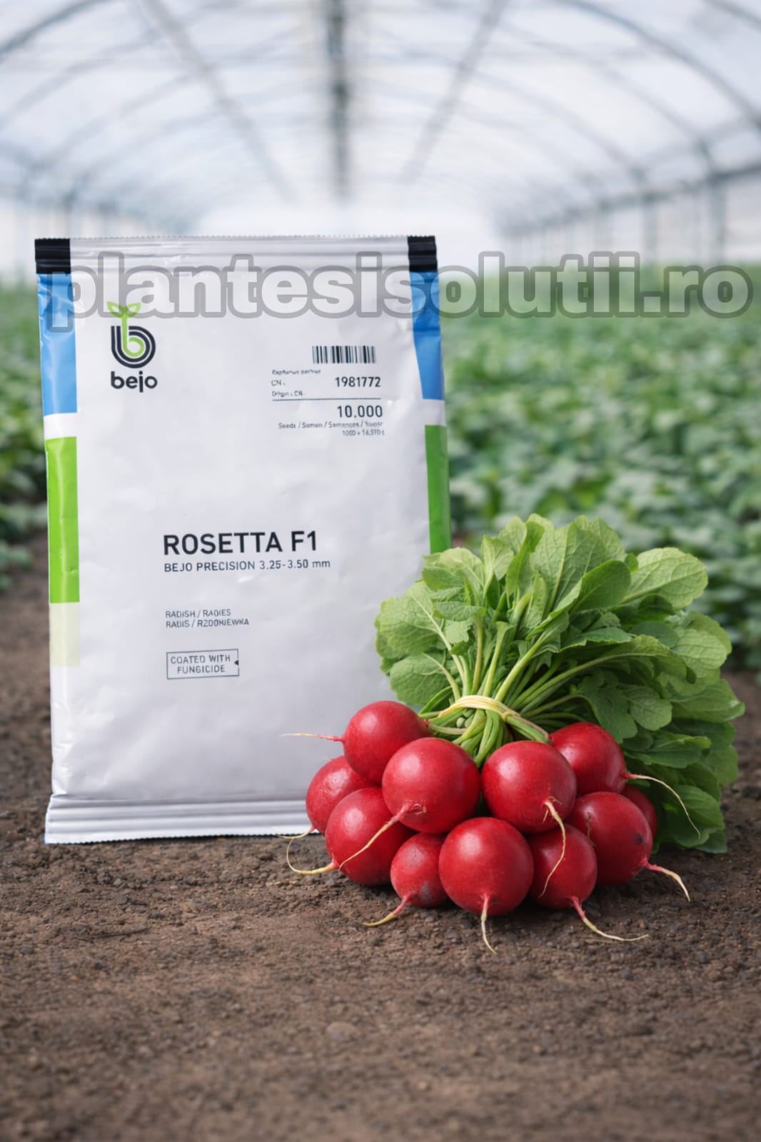 WhatsApp Image 2025-12-17 at 22.55.12 (10)