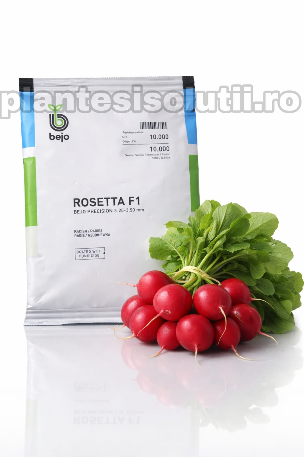 WhatsApp Image 2025-12-17 at 22.55.12 (11)