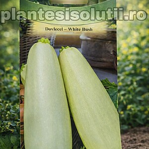 Dovlecel - White Bush