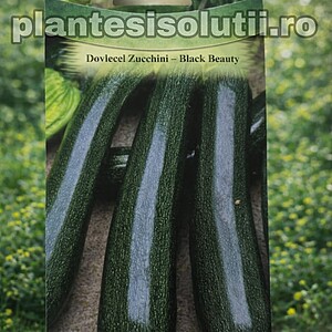 Dovlecel Zucchini - Black Beauty