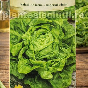 salata de iarna - Imperial winter
