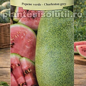 Pepene verde - Charleston Grey