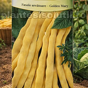 Fasole urcătoare cu pastaia Lata -Golden Mary