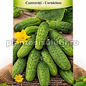 Castraveţi - Cornichon