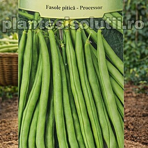 Fasole fideluta pitică - Processor