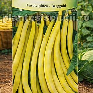 Fasole fideluta galbena pitică - Bergold 10 gr