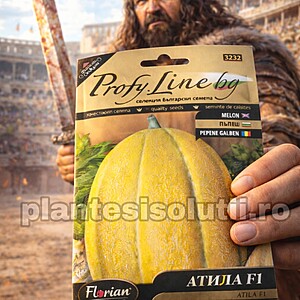 Seminte pepene galben Atila F1 Florian 5 gr