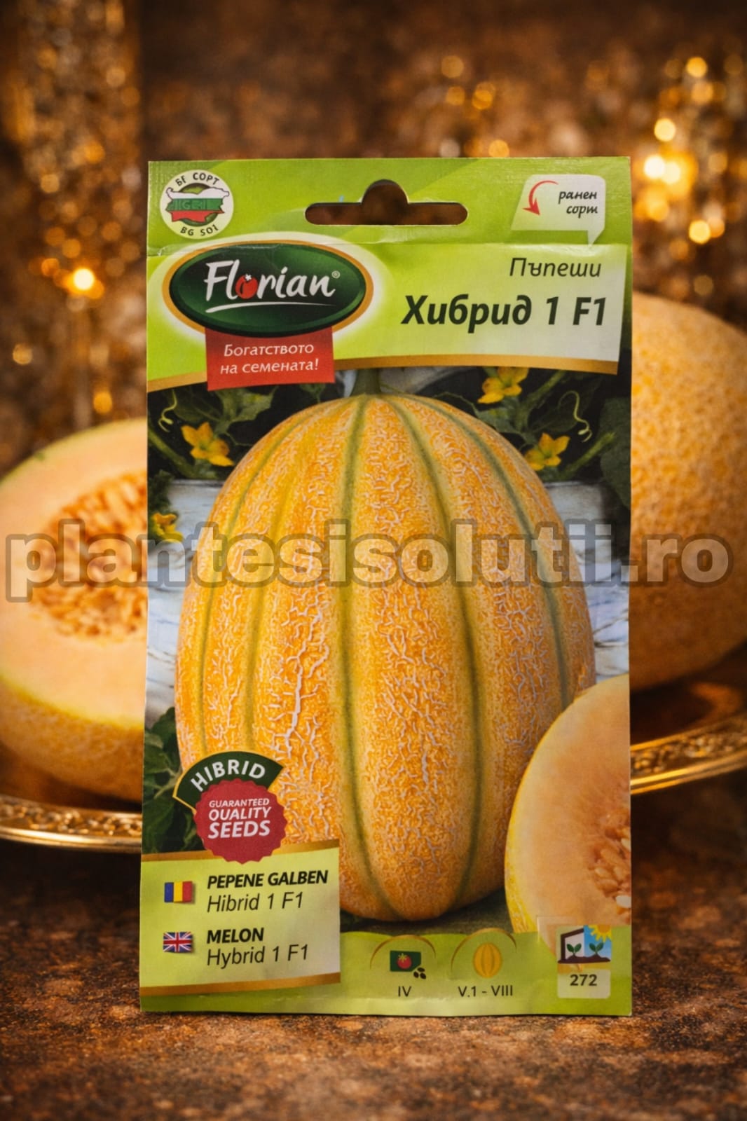 WhatsApp Image 2025-12-23 at 19.08.47