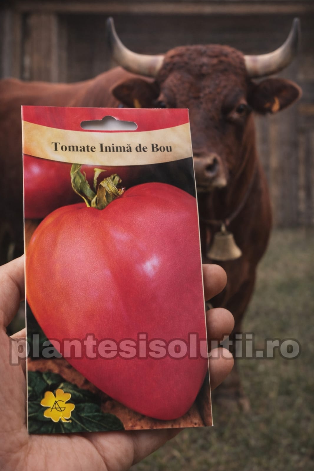 WhatsApp Image 2025-12-23 at 19.08.50 (2)