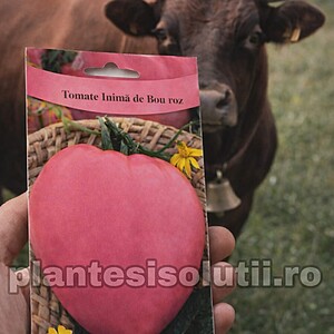 Tomate - Inimă de Bou Roz, 0.2g