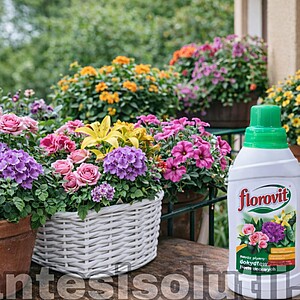 Ingrasamant Lichid Pentru Plante De Ghiveci Si Flori De Balcon, 0,5L