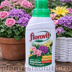Ingrasamant Lichid Pentru Plante De Ghiveci Si Flori De Balcon, 1L