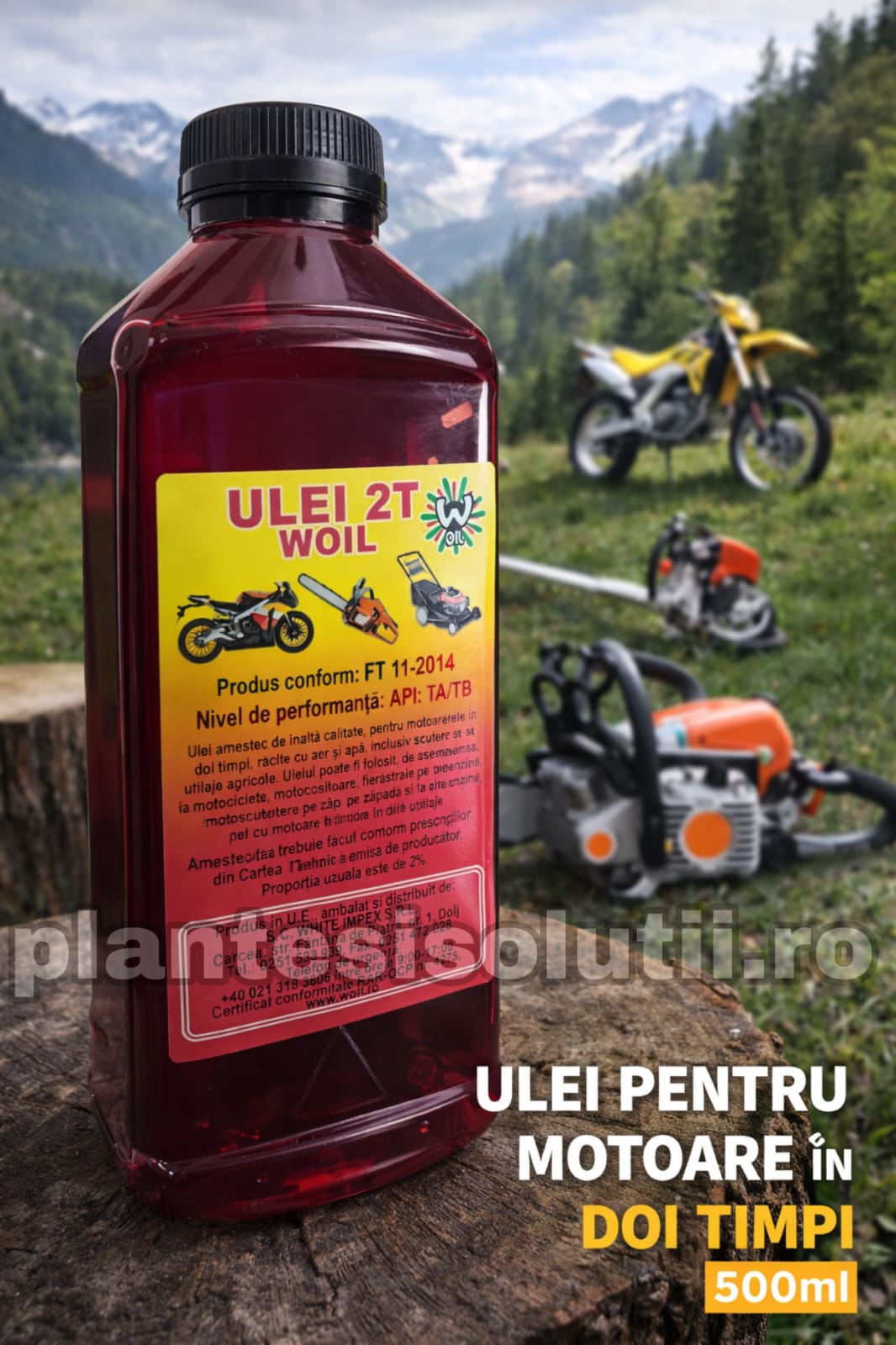 WhatsApp Image 2025-12-25 at 12.44.48 (4)