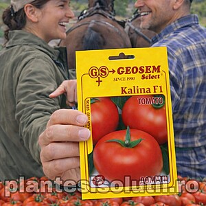 Seminte Tomate Kalina F1 250 sem