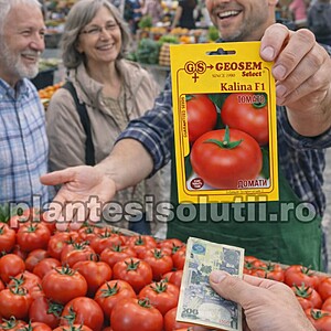 Seminte Tomate Kalina F1 1000 sem