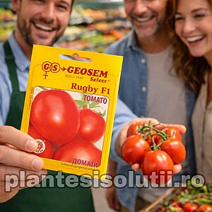 Seminte de tomate Rugby F1, 1000 seminte
