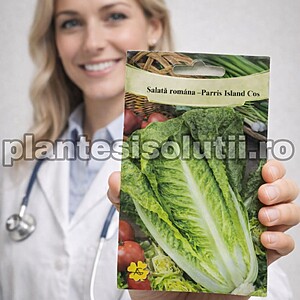 Salată romana-Parris Island Cos