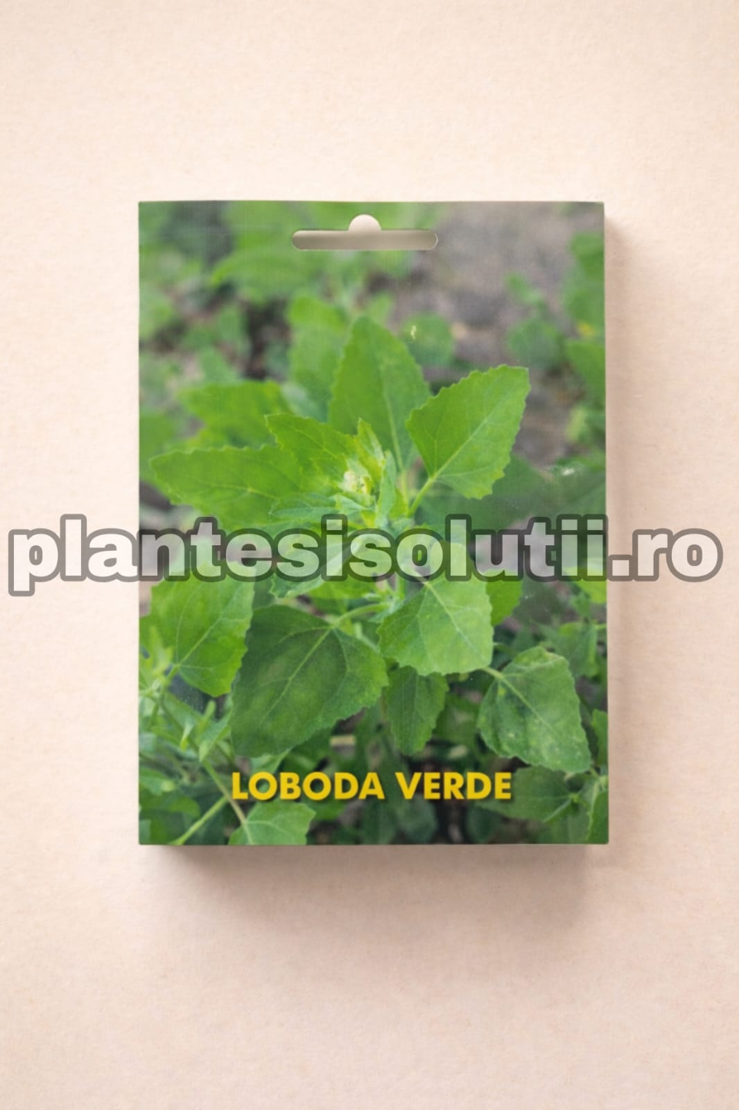 WhatsApp Image 2025-12-30 at 19.22.59 (1)