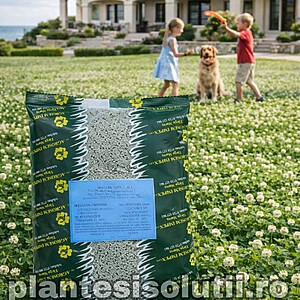 Seminte de Trifoi alb, 400g