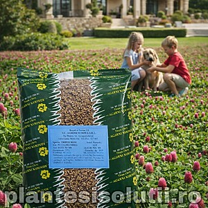 Seminte de Trifoi roșu, 500g