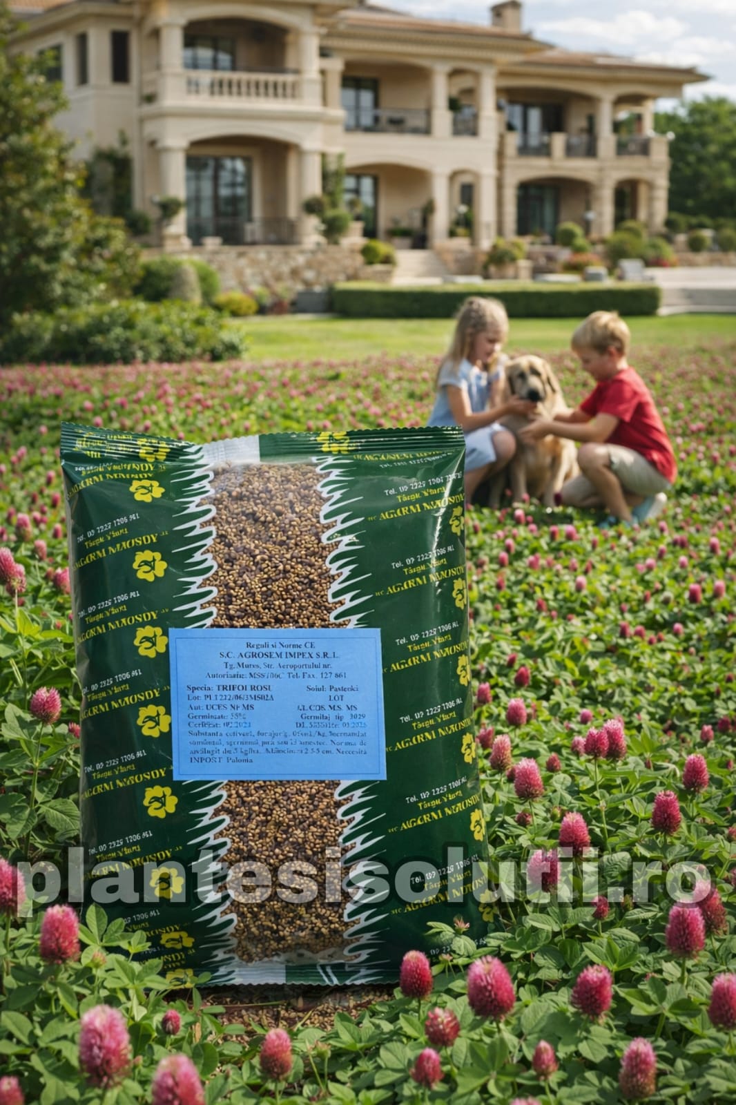 WhatsApp Image 2025-12-30 at 19.23.03