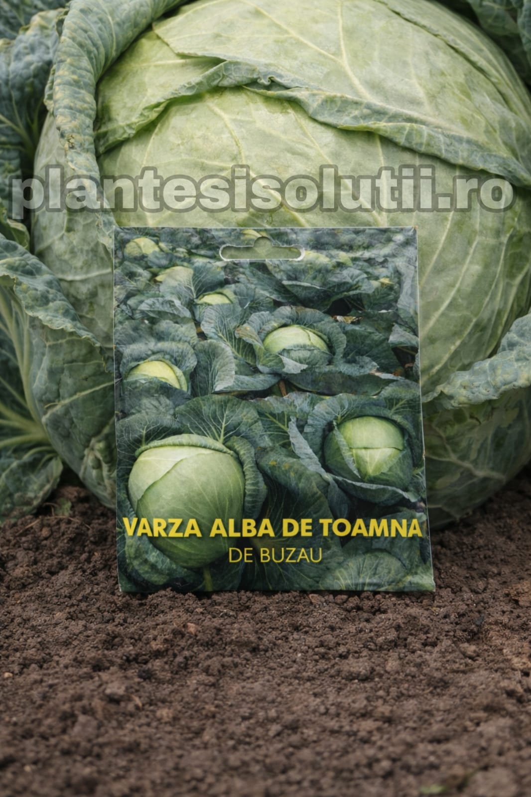 WhatsApp Image 2025-12-30 at 19.23.05 (1)