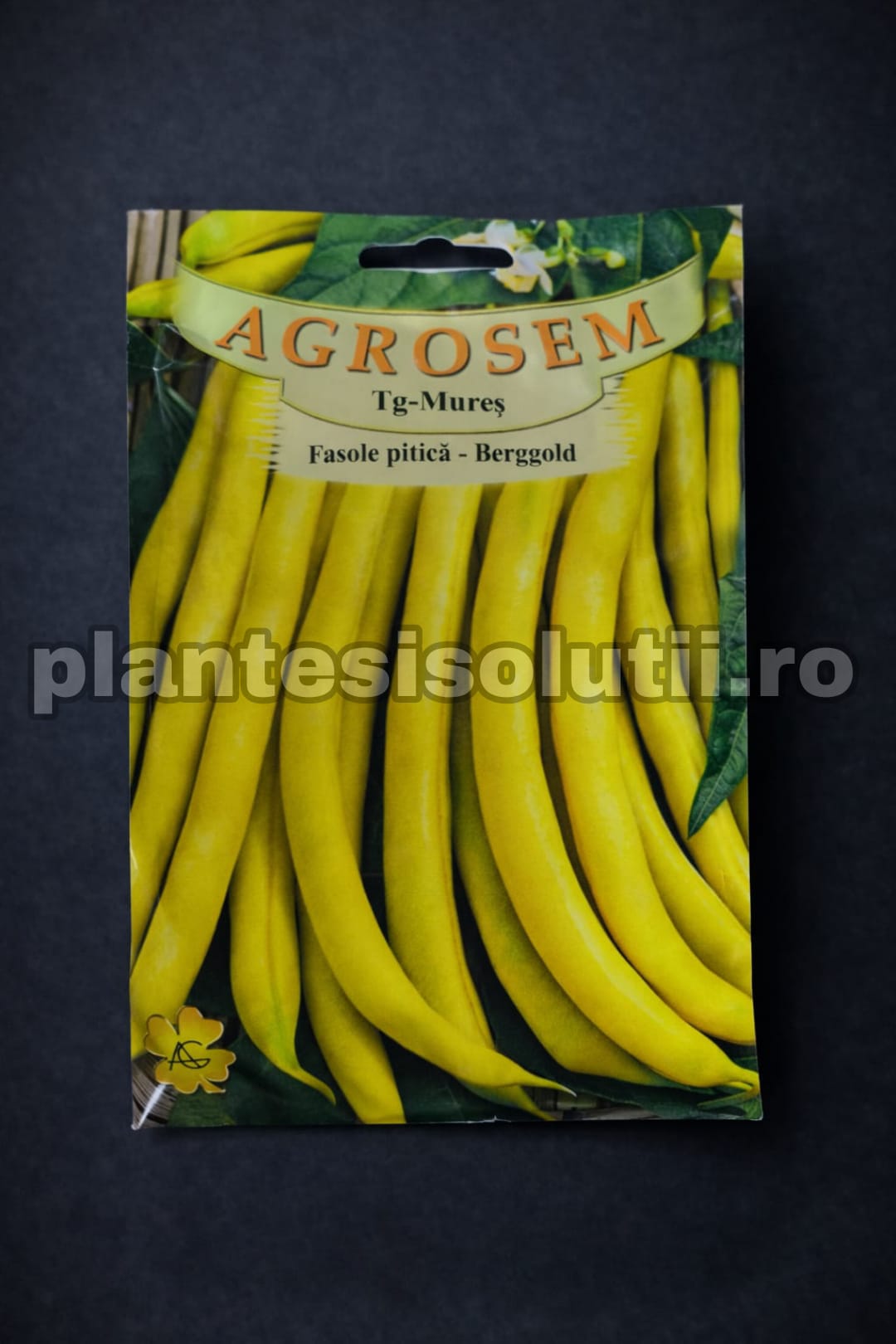 WhatsApp Image 2026-01-21 at 16.48.21 (2) – Copie