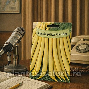 Fasole fideluta galbena pitică - Maxidor 150 gr