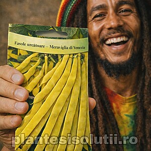 Fasole urcatoare cu pastaia Lata- Meraviglia Di Venezia, 10g