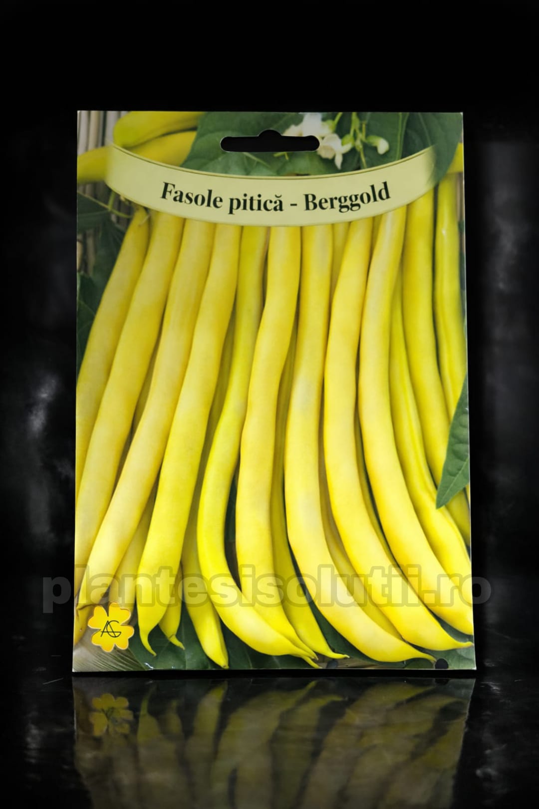 WhatsApp Image 2026-02-23 at 11.23.04 (3)