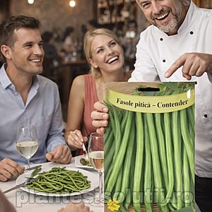 Fasole fideluta verde pitică-Contender 150 gr