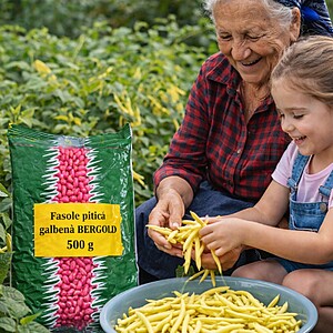 Fasole fideluta galbena Oloaga Bergold 500gr