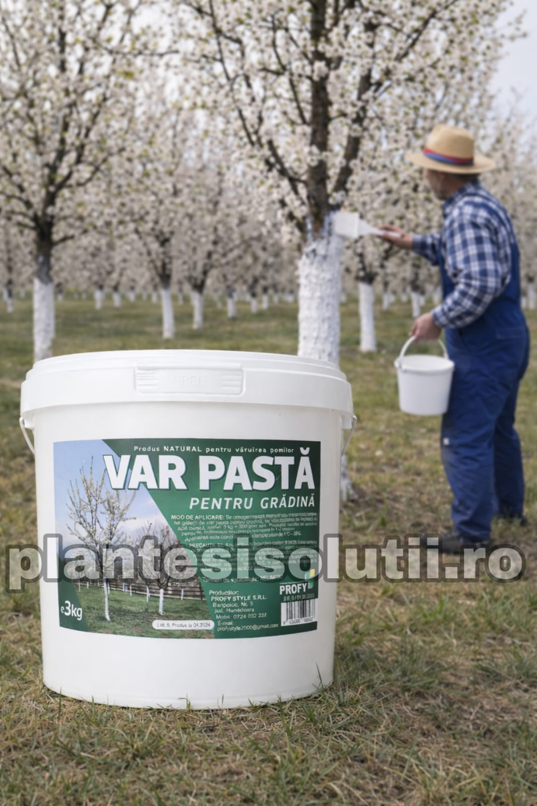 WhatsApp Image 2026-01-03 at 13.50.05 (1)