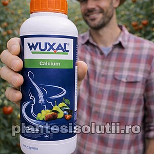 Ingrasamant Wuxal Calcium  1L