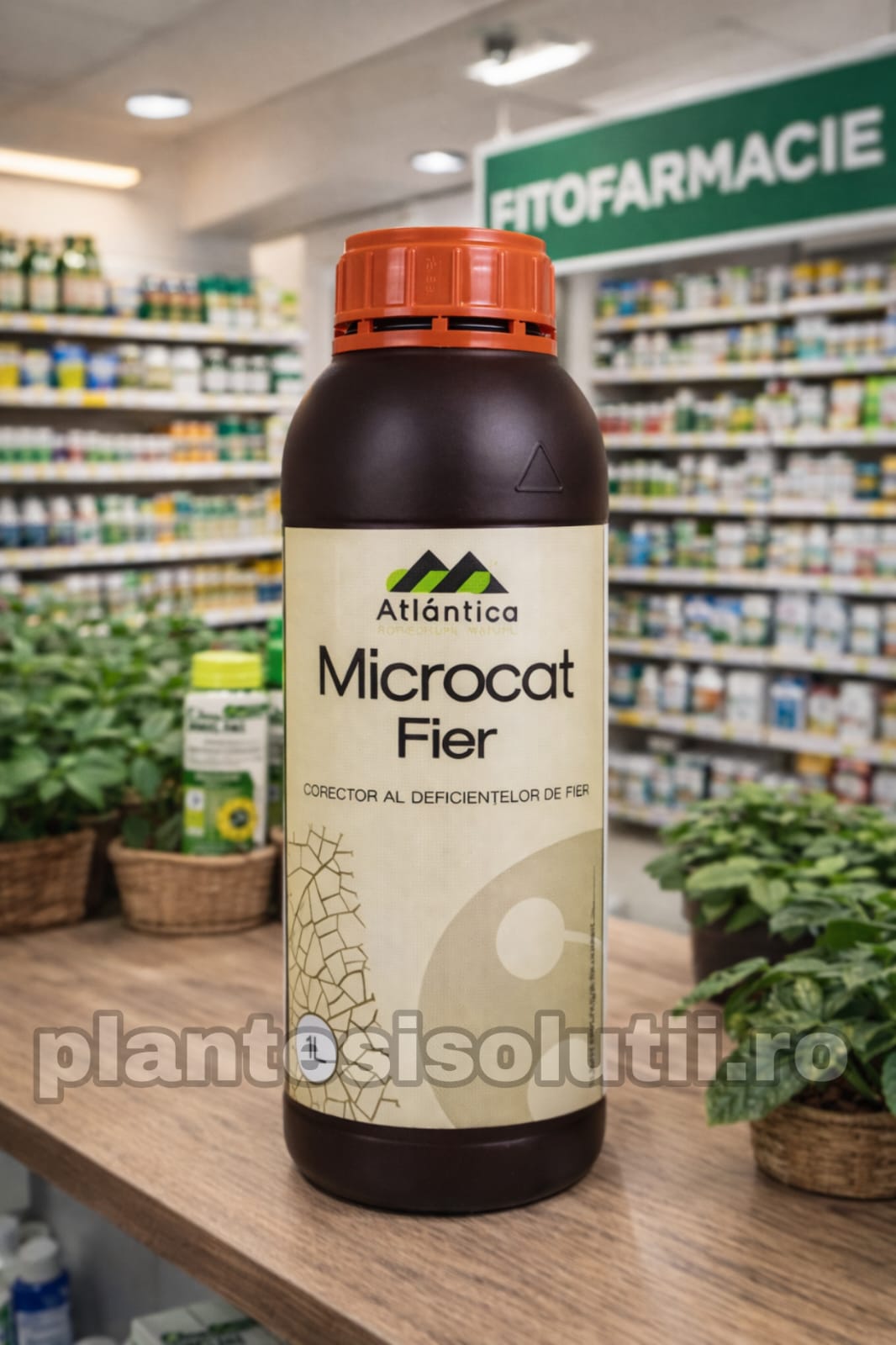 WhatsApp Image 2026-01-05 at 16.54.03